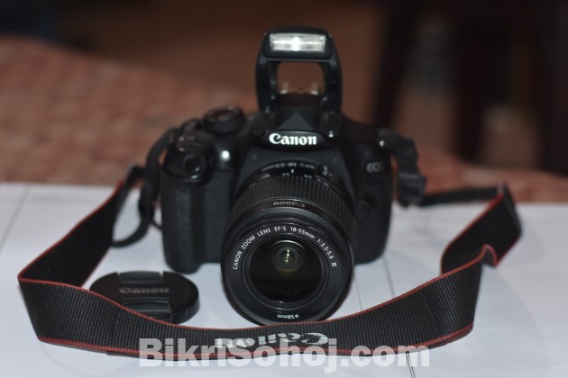 canon 1200d with 18-55mm kit lens